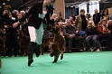 Crufts2011 842